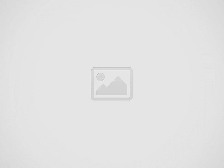 How to Choose Fly Sprayers for Barns in Lewisville, TX?