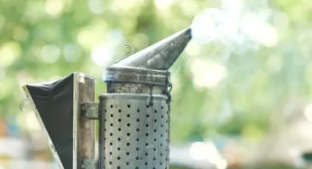 How to Choose the Best Fly Misting System for Your Needs?