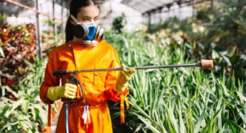 Why Is Barn Fly Control a Hidden Necessity Today?