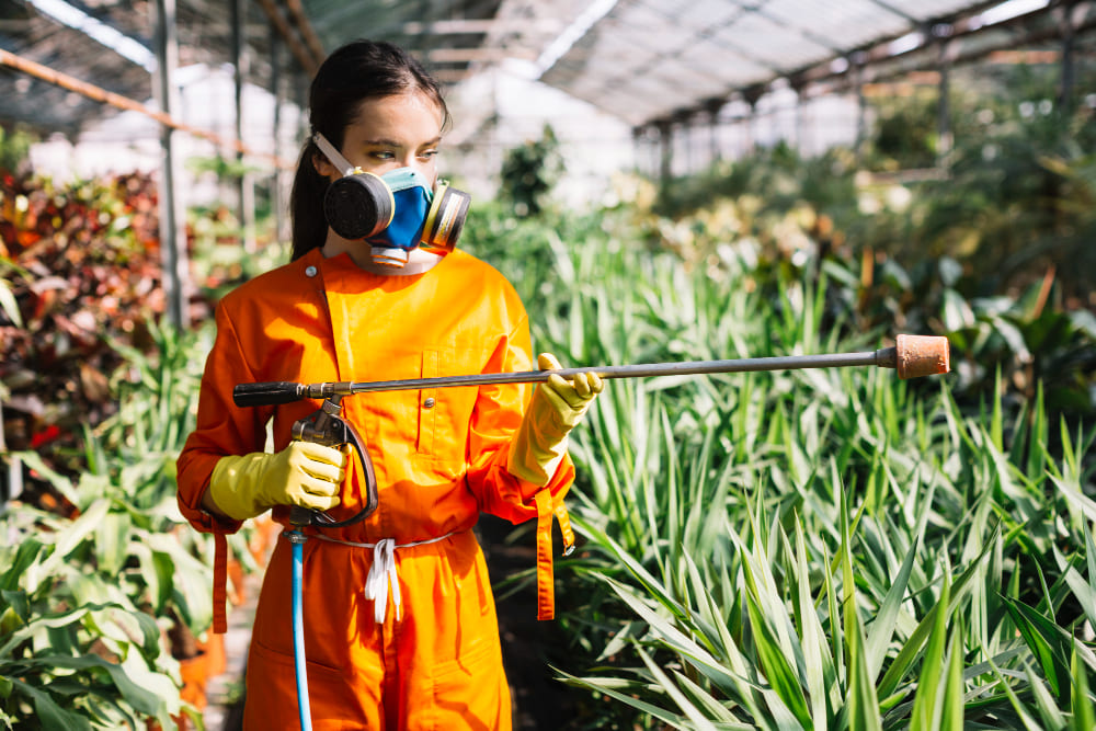Barn Fly Control