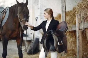 horse stable fly control